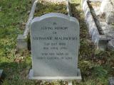 image of grave number 847271